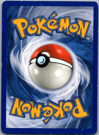 2004 Team Magma Schemer #70